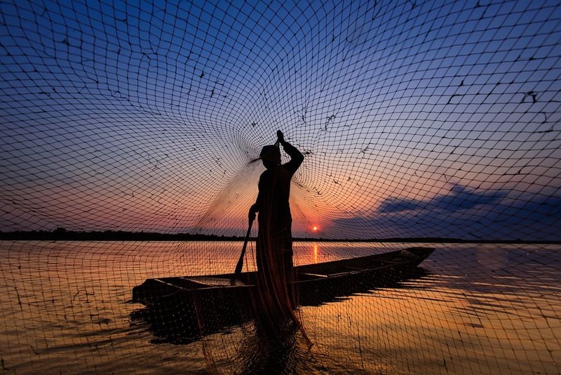 Garden Netting