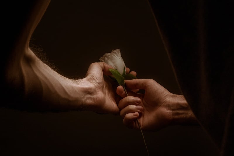 Rose Bush